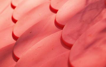 Tytherleigh plastic roof costs